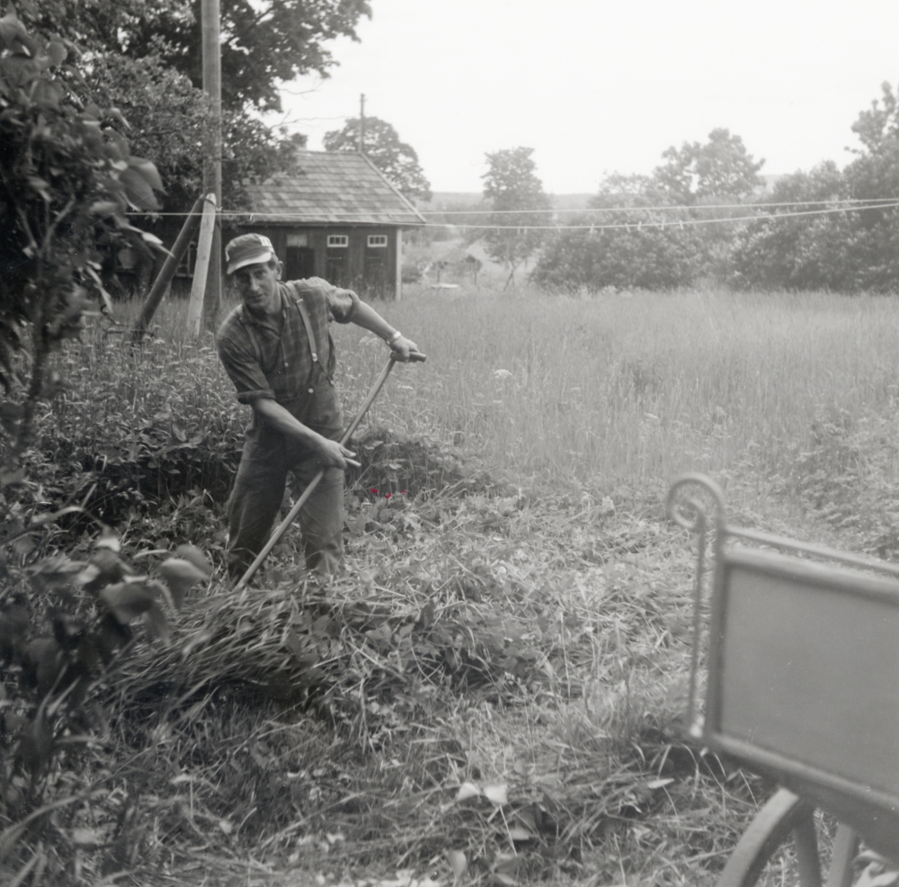 Rune Ländin, arrendator vid Vada prästgård, slår gräset i trädgården bakom drängkammaren.  Huset i bakgrunden är Vada skolas uthus med vedbodar och avträden