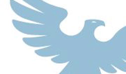 Blå örn som är Vallentuna gymnasiums logga