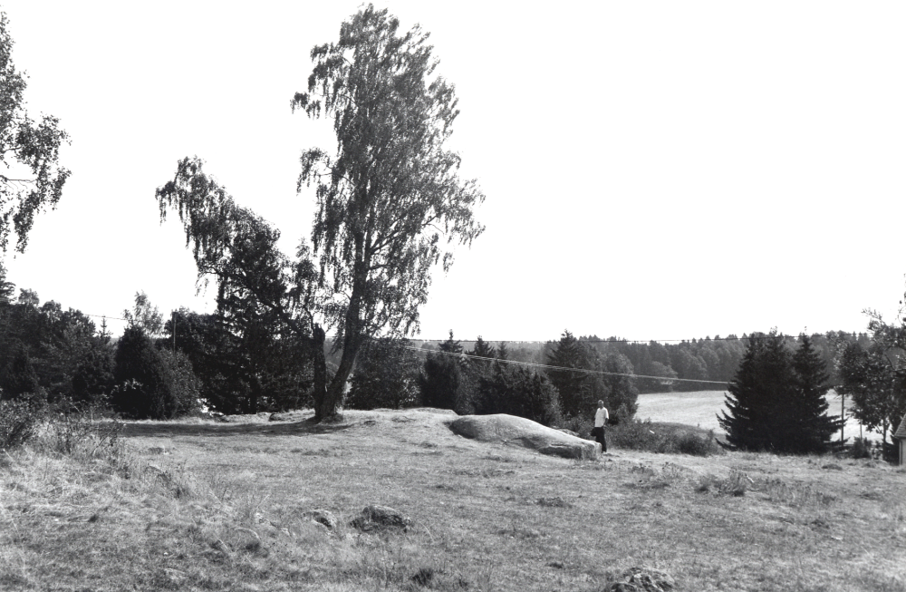 Vy över Granbyhällen i Orkesta, Upplands största runhäll.  Vid hällen står Gunnar Hillbo