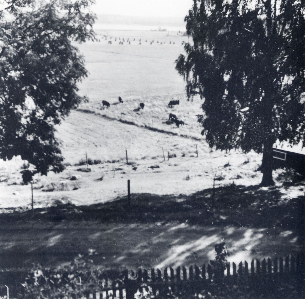 Utsikt mot sydost från Kragsta gård över fält och åkrar och betande kor. I bakgrunden syns Vallentunasjön