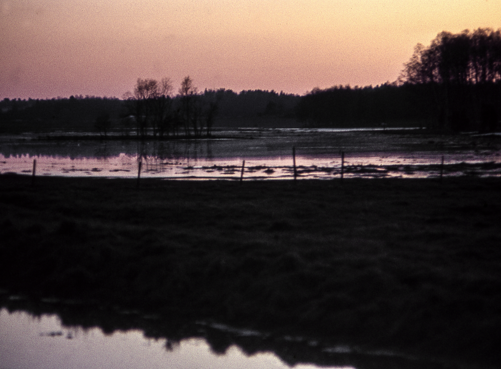 Vid utloppet. Fotografiet ingår i bildserien Angarnssjöängen 1970 som köptes av Vallentuna kommun och gjordes mot bakgrund av den oro som fanns bland naturvänner då Stockholm stad planerade en ny stad i området med upp mot 100 000 invånare. Så småningom övergavs planerna och istället bildade Länsstyrelsen naturreservat 1982.