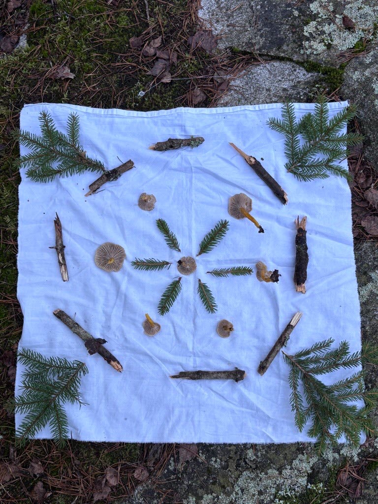 Personal som deltog på pilotprojektet Bara Vara Ute fick göra mandalas av naturmaterial i skogen.