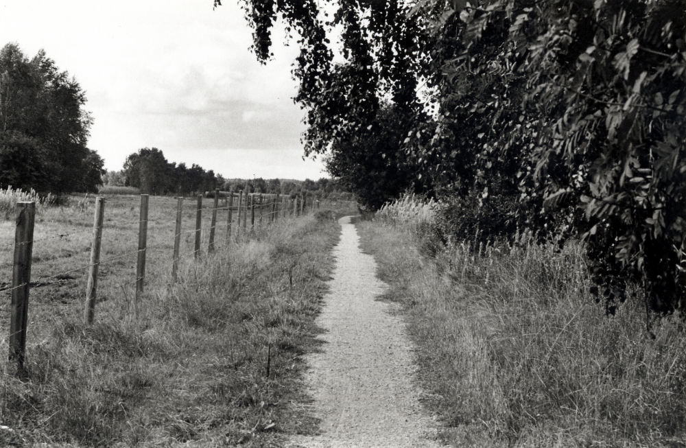 Gångväg vid Vallentunasjön mot Björkbyområdet i Vallentuna