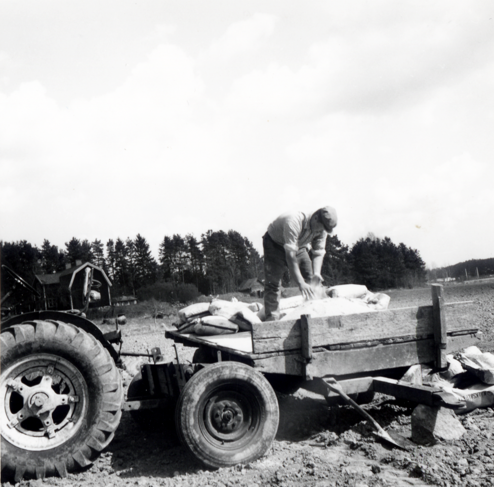 Säckar med gödning lastas av en traktor