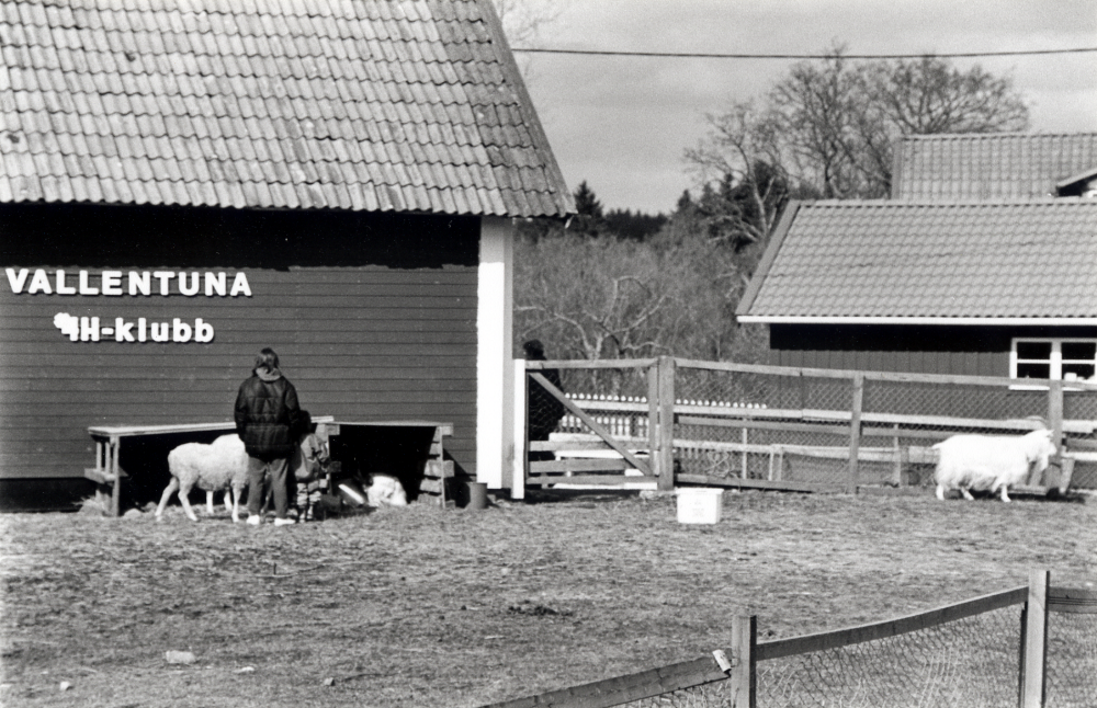 4H-verksamhet vid Lilla Ekeby gård.   Djuren på gården, bl a får, get, kanin och häst, sköts av unga entusiaster.  Daghemsgrupper  och andra barn kan besöka gården och lära sig umgås med djuren.  1993 fick 6 flickor kommunens stipendium för idogt arbete med djuren. Flickornas namn är:  Camilla och Ulrika Isberg, Kristina Jungmarker, Jill Lundqvist, Johanna Stewart, Anna-Greta Modig