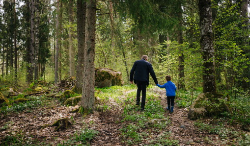 Barn och vuxen hand i hand i en skog