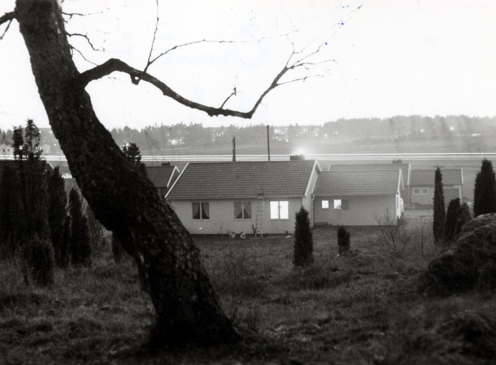 Familjen  Levins  hus på  Björkhagsvägen 22  i  Ormsta