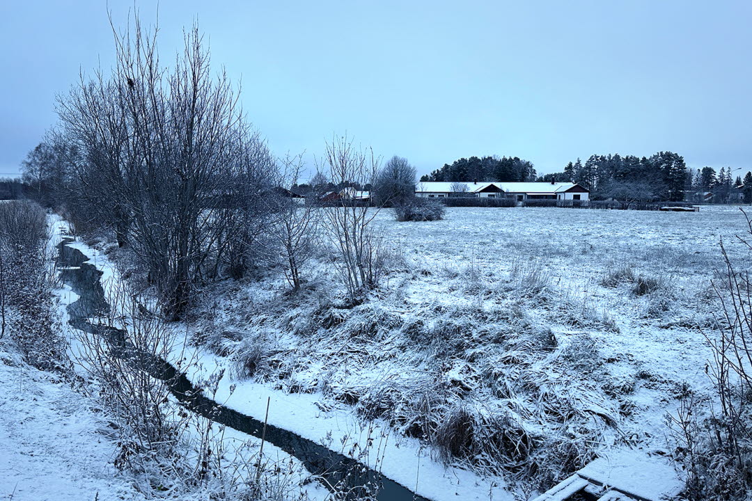 Snapptunaån, efter röjning