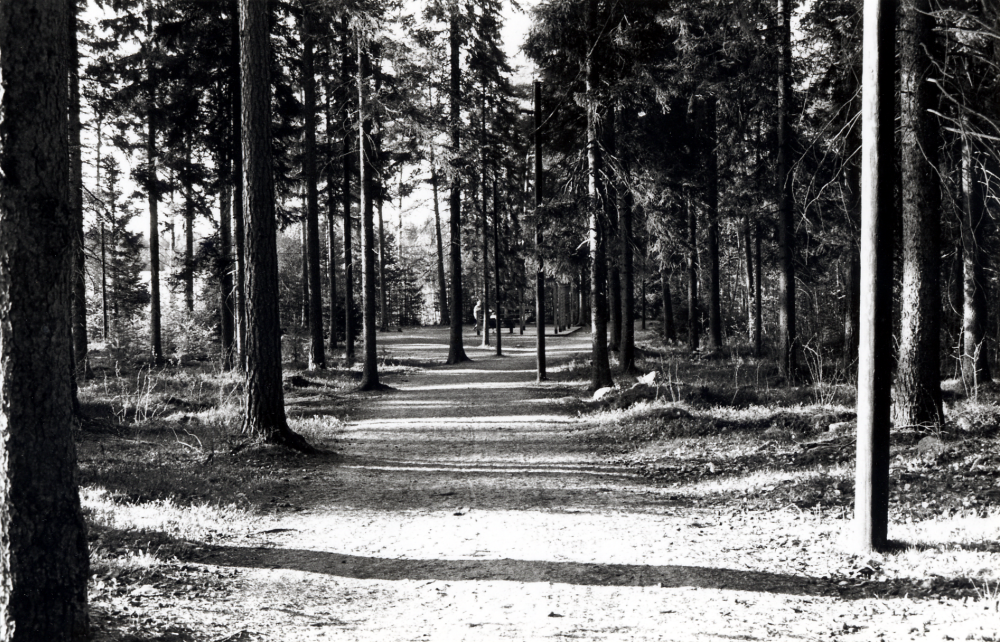 Motionsspåret vid Vallentuna IP är anlagt i en naturskön skog, ett omtyckt rekreationsområde för många Vallentunabor.  I bakgrunden syns start- och målplatsen med motionsredskap.