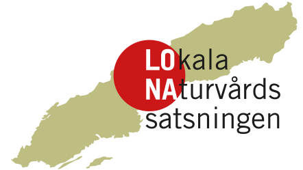 logotyp LONA