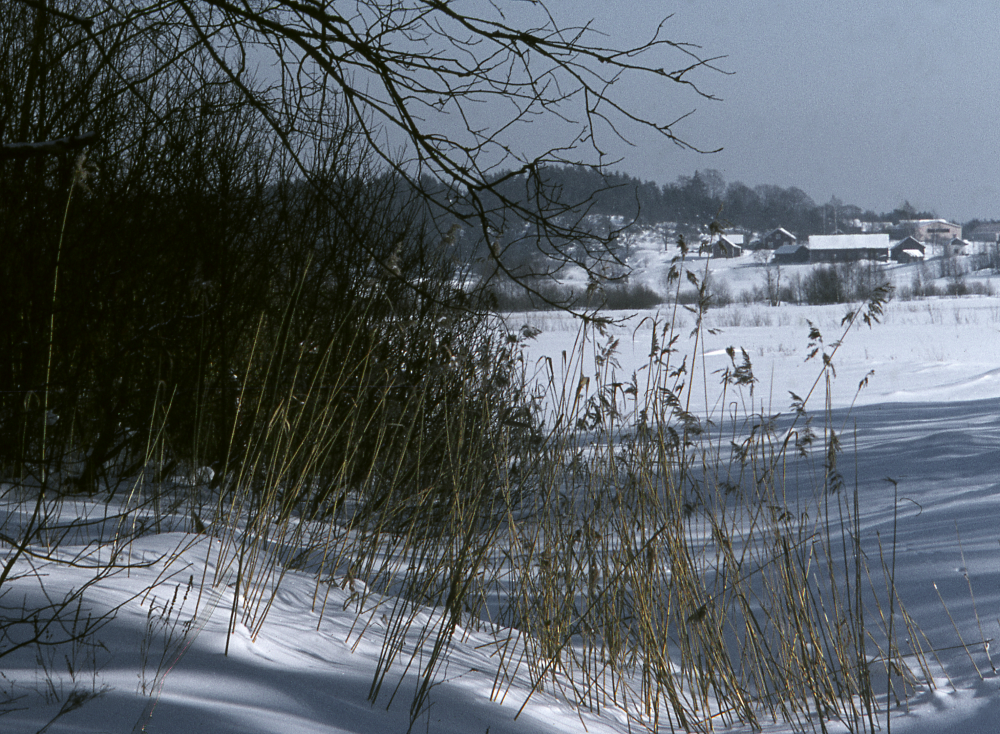 Vy mot Örsta gård. Snö. Vinter. Fotografiet ingår i bildserien Angarnssjöängen 1970 som köptes av Vallentuna kommun och gjordes mot bakgrund av den oro som fanns bland naturvänner då Stockholm stad planerade en ny stad i området med upp mot 100 000 invånare. Så småningom övergavs planerna och istället bildade Länsstyrelsen naturreservat 1982.