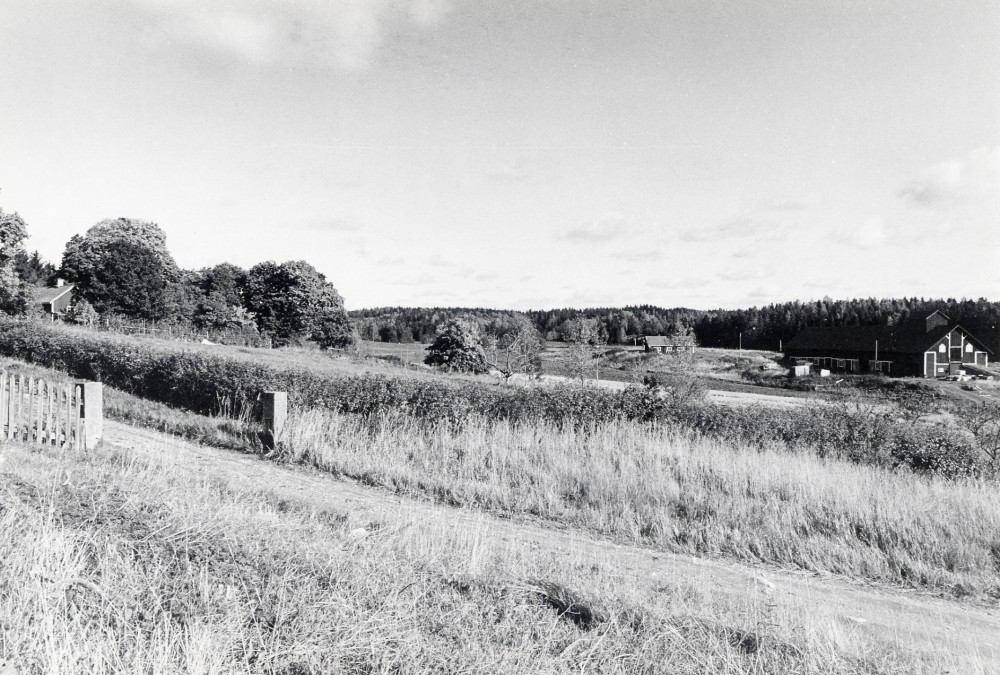 Vägen mot Backa gård.  I bakgrunden syns gårdens loge t h, i mitten Långstugan och t v uthus
