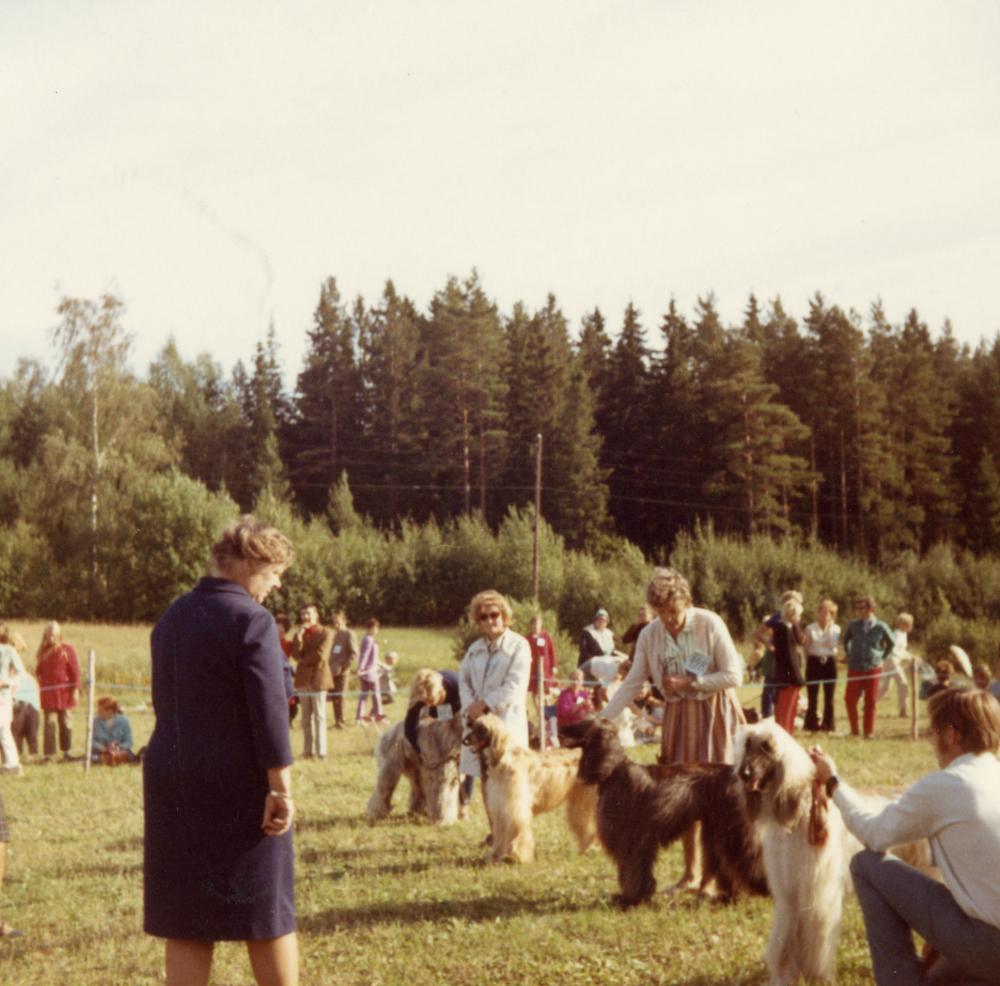 Hundutställning  vid  Freden  Domare: Carin Lindhé??