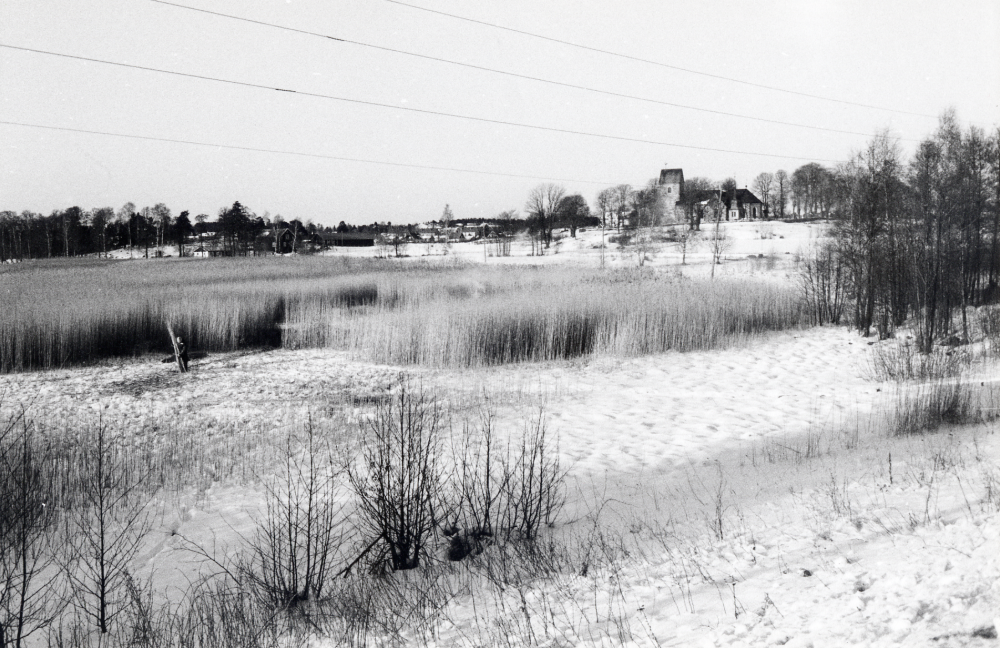 Lars Karlsson skördar vass vid Kyrkviken i Vallentunasjön. Av vassen tillverkar Lars Karlsson vassmattor att användas t ex vid trädgårdsodling