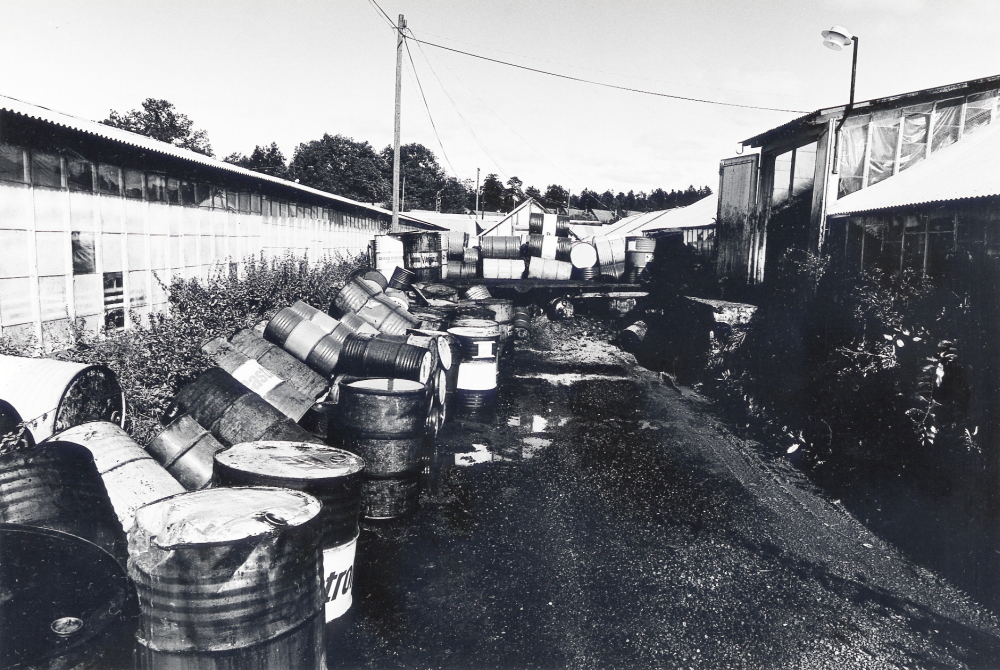 Heidmarks handelsträdgård i  Bällsta  startades 1927 av Pettersson.  Man odlade rosor, pelargoner, azaleor, julstjärnor, tulpaner och andra lökväxter, krysantemum,   tomater m m. 1975 såldes marken till  Skånska cement  och verksamheten upphörde 1979.  På området finns en firma som bränner oljerester,  oljefat  ligger vid de gamla  växthusen
