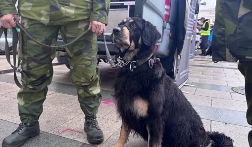 Hund och människa i militäruniform.