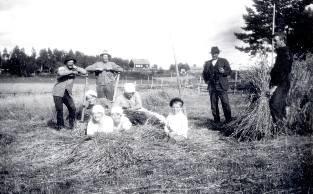 Kafferast  på  Björkby gård  under  slåtterarbetet. I bakgrunden syns  IOGT:s ordenshus Blixten.  Stående fr v  Karl Gustavsson,   Bernhard,   Gustav Lindström  och  Helge Jansson.  Sittande fr v  Ester Jansson,   Valborg Gustavsson,  liggande  Ida Torell och Gunhilde.  Den lilla pojken är okänd.  Ester och Helge Jansson antog senare namnet  Jirstedt