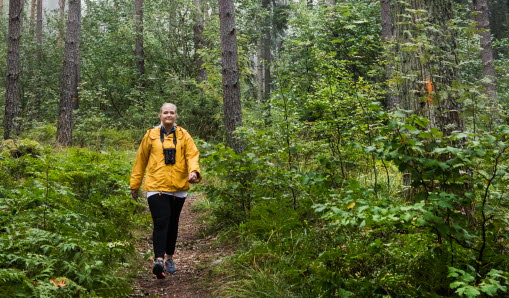 Vandra roslagsleden