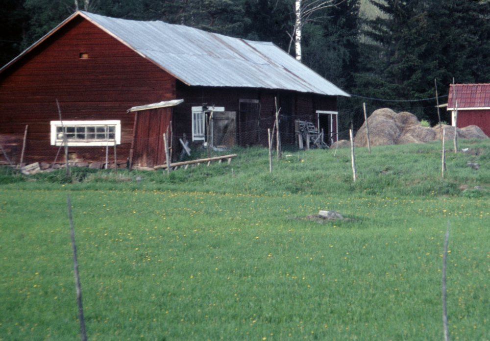 Norrtorp. Fotografiet ingår i bildserien Några torp i Vallentuna 1970 som köptes av Vallentuna kommun. Dokumentationen gjordes mot bakgrund av den snabba förvandling av kulturlandskapet som skett och ännu sker. Många torp anlades under den svenska landsbygdens folkökning under slutet av 1700-talet och decennierna framöver. Dessa torp och små gårdar försvinner alltmer då de inte längre är lönsamma. Kulturmiljö.