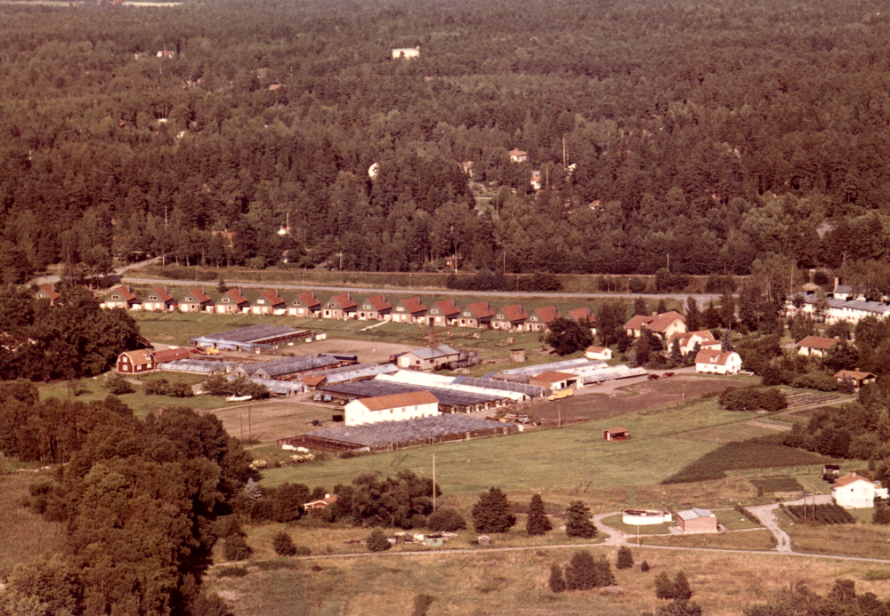 Flygfoto över Heidmarks handelsträdgård i mitten av 1960-talet. I bakgrunden syns Roslagsbanan strax söder om Bällsta hållplats. I bildens mitt ser man handelsträdgården med sina växthus och andra byggnader. Bakom växthusen kedjehusbebyggelsen utmed Lagerfelts väg, byggda av K Johanssons bygg AB. I bildens högra sida skymtar bostadsområdet Hasselgården vid Bällstavägens infart. T h om växthusen syns bostadshus för familjen Heidmark, fr v i vinkel i gult fasadtegel byggdes från början av Helge och Elvira Pettersson, senare bostad för sonen Karl-Erik Heidmark och hans hustru Ingegerd. Dessemellan gamla bostadshuset samt garage och t h om det bostadshus för Helges andra son Gösta och hans hustru Birgitta. I bildens högra kant syns ett brunt, hus där Martin Jansson bodde, han odlade hallon men arbetade också hos Heidmarks. I det vita huset ovanför reningsverket bodde Widström, som odlade purjolök. Det lilla huset i bildens underkant är en sommarstuga, bebodd av Faith Ell. Handelsträdgårdens mark bebyggdes 1985 med bostadsrättshus och fick det passande namnet Örtagården. Området söder om Heidmarks bebyggdes i mitten av 1970-talet med radhus och fick namnet Tårtbiten