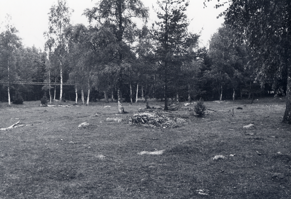 I denna hage vid vägen mot Kårsta strax ovanför avtagsvägen mot Ekskogens station, låg Humlegården, en dansbana där traktens ungdomar träffades    Ljudband 73.  Stina och Bertil Jansson berättar om dansbanor och nöjen i kårstatrakten