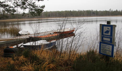 En kvinna som håller i en fisk