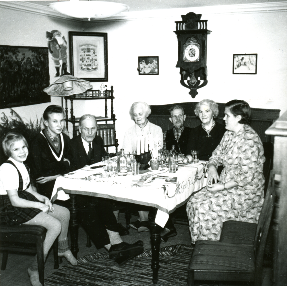 Hemma hos familjen Johansson i villa Fridhem har man bjudit in grannarna från Ekskogens gård, familjen Ekholm. Tomten på väggen och adventsljusstaken tyder på att det är  kring jul. Till höger om väggklockan sitter Lisa Johansson och till vänster om henne sitter hennes man Gustav. Till höger om Lisa sitter hennes dotter och längst till vänster sitter Lisas barnbarn. Till höger om barnbarnet sitter Timo Ekholm, Manfred Ekholm och Inez Ekholm.