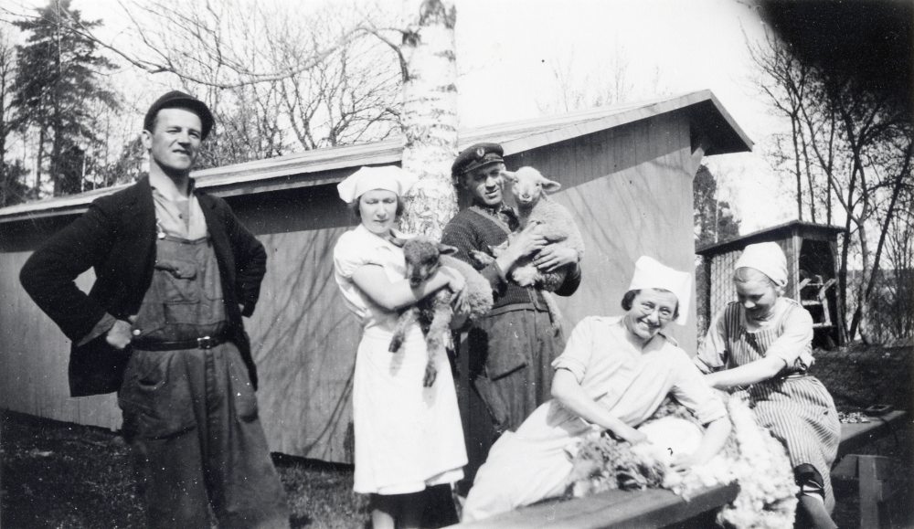 Fårklippning på Bällsta gård.  Fr v okänd, Elin Nilsson och Gunnar Nilsson, kokerska och vaktmästare/gårdskarl, syster Nanna Abrahamsson, sjuksköterska samt okänd.  Elsa Tiberg hade vårdhem för vuxna  med funktionsvariationer på gården, personerna på bilden var anställda där