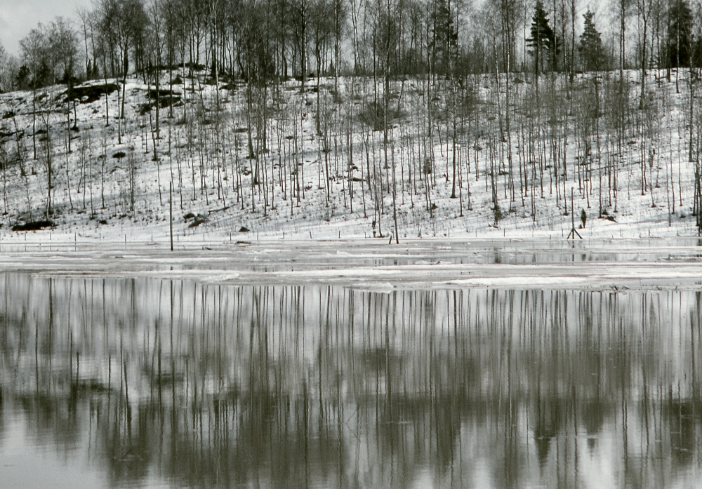 Nedanför Skesta hage mot söder. Fotografiet ingår i bildserien Angarnssjöängen 1970 som köptes av Vallentuna kommun och gjordes mot bakgrund av den oro som fanns bland naturvänner då Stockholm stad planerade en ny stad i området med upp mot 100 000 invånare. Så småningom övergavs planerna och istället bildade Länsstyrelsen naturreservat 1982.
