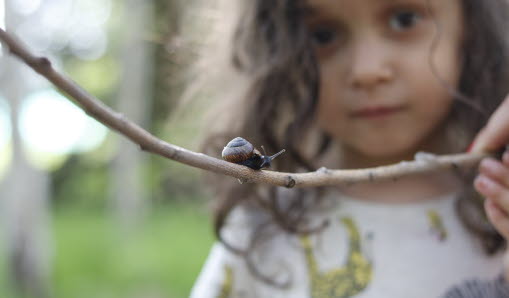 Bild på flicka som håller i en pinne med en liten snigel på