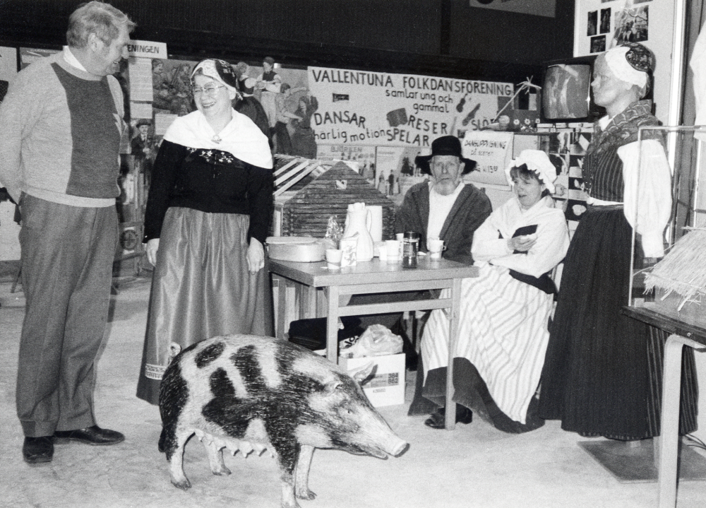 Vid  Föreningarnas festival  i  Vallentuna ishall  19-21 april 1986 fick föreningar och kommun presentera sin verksamhet med utställningar, sång och musik. Här vid  Vallentuna folkdansföreniggs  monter har samlats fr v ordföranden i Vallentuna hembygdsförening  Karl-Axel Eriksson   Ingegerd Nyman   Alf Olsson  och  Inger Olsson  På golvet står en modell av svensk skogsgris  tillverkad av  Eva Rahmqvist  för Upplandsmuseet och t h syns ett vikingahus tillverkat av Eva Rahmqvist och Marie Lenti.  I bakgruanden syns skärmutställningar som preseterar föreningens verksamhet. En docka i naturllig storlek visar Häverödräkten