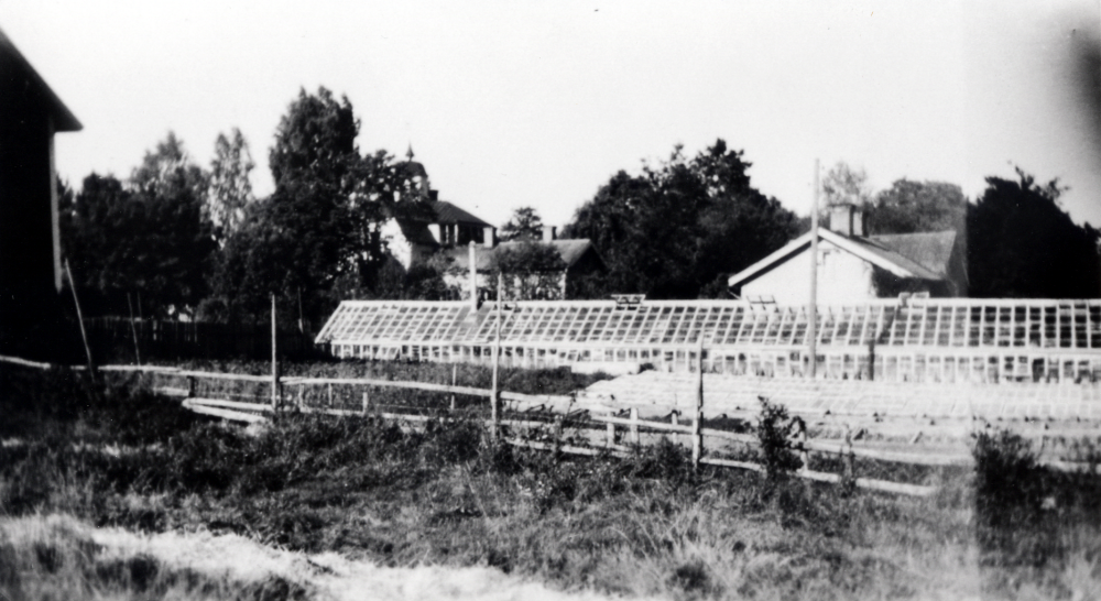 Ekskogens gård med växthusen i förgrunden. Det vita huset bakom växthusen är trädgårdsmästarbostaden.  Man odlade grönsaker som såldes på Östermalms torg i Stockholm.  1947-1965 ägdes gården av Inez och Manfred Ekholm.  Vid Manfreds död 1965 sålde Inez och Timo gården till Åke Håkansson, som ännu 2004 äger gården