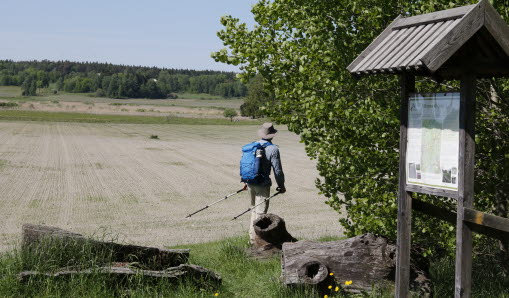 En man med gåstavar och ryggsäck på ryggen som går i kanten av en åker