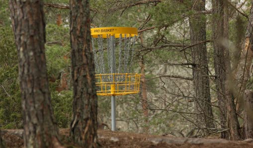 Discgolf i Vallentuna