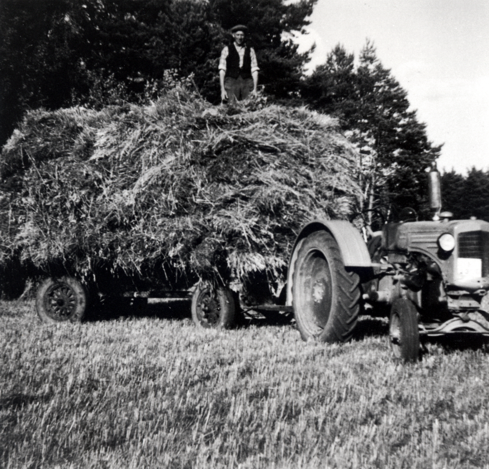 Ett av sommarens största havrelass på Väsby gård.  Uppe på lassest står Sven Liljeholtz.  Lasset dras av en  Minneapolis-Molin traktor, köpt till gården 1939, leverades med tåg till Vallentuna järnvägsstation