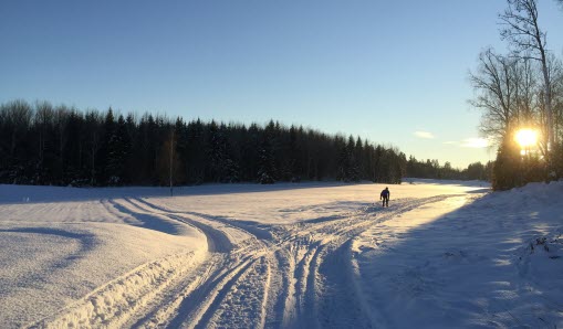 Skidspår, mycket snö och vackert väder.