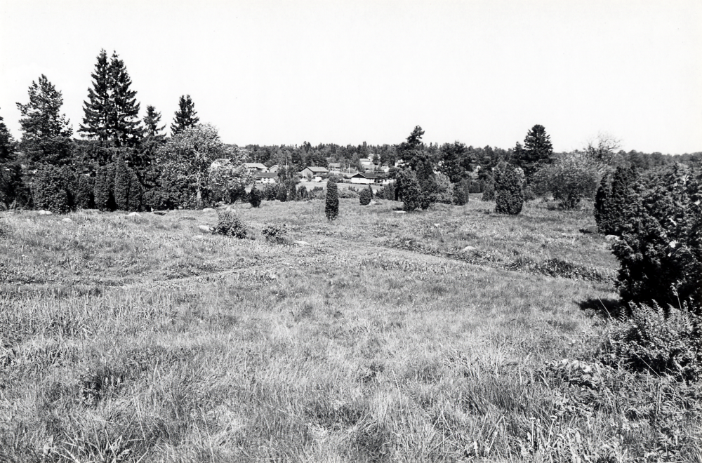 Utsikt från skogspartiet norr om Hammarbacken mot nordost