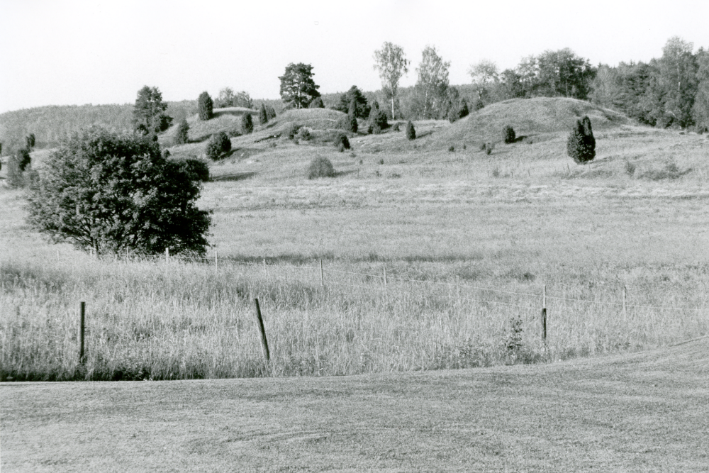 Vada sjökullar 6 juli 2006 i samband med Sommarkvällsmusik i Vada kyrka