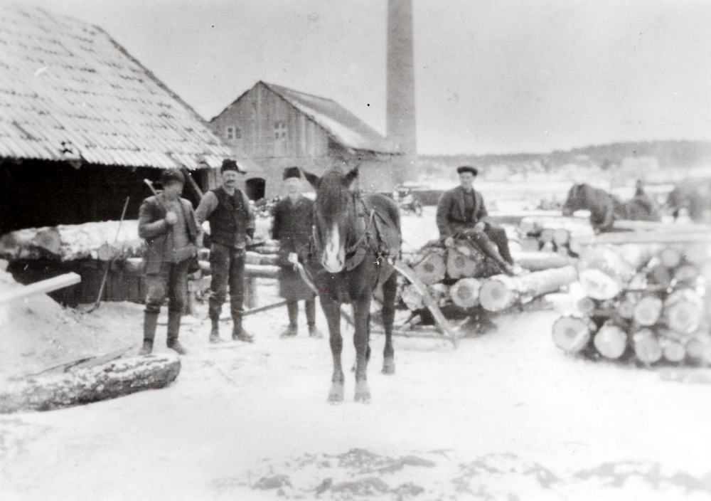 Vallentuna såg  låg invid  Vallentuna tegelbruk.  Sågen startades 1919-talet av  Axel W Lundqvist  som också ägde Vallentuna tegelbruk. Här forslas  timmer  till sågen. T v  står förman  Wall  och tegelfabrikör Lundqvist.  I bakgrunden syns Vallentuna tegelbruk