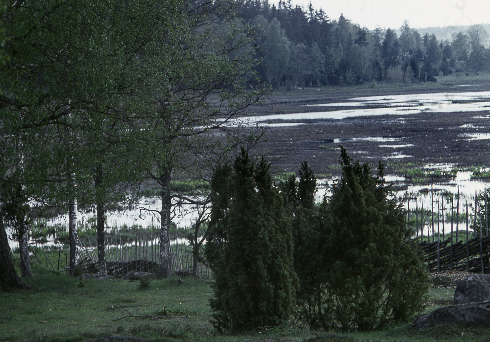 Skesta hage. Fotografiet ingår i bildserien Angarnssjöängen 1970 som köptes av Vallentuna kommun och gjordes mot bakgrund av den oro som fanns bland naturvänner då Stockholm stad planerade en ny stad i området med upp mot 100 000 invånare. Så småningom övergavs planerna och istället bildade Länsstyrelsen naturreservat 1982.