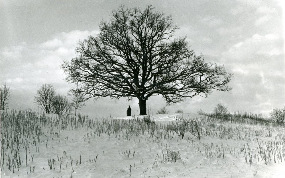 Vasakullen i Lindholmen med snötäcke. 

•Fotografiet ingår i bildserien ”Vardagsliv i Vallentuna kommun” av Rachael Gough-Azmier & Gunilla Blomé, Haga Studios HB.