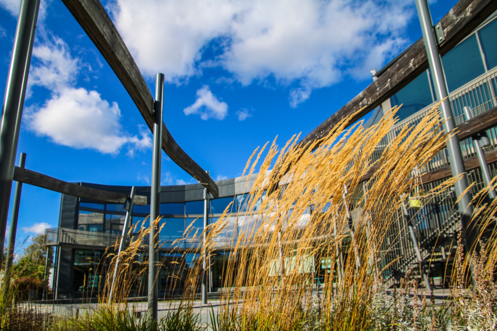 Kulturhusparken och innergården. I bakgrunden syns Kulturhusets fasad med fönster mot parken. Växterna framför Kulturhuset vajar i septembervinden. Vallentuna Kulturhus och bibliotek ligger vid Allévägen, mitt i Vallentuna centrum. Huset invigdes hösten 2012 och de ljusa, rymliga lokalerna på drygt 2000 kvadratmeter rymmer ett stort och modernt bibliotek, utställningshallar, kreativ verkstad, café och flera scener. Här bedrivs verksamhet av främst kulturförvaltningen och fritidsförvaltningen, men också av föreningsliv, studieförbund och andra aktörer. Huset är ritat av Lars Gauffin på Nyréns arkitektkontor. Stockholms läns hembygdsförbunds nybyggnadspris tilldelades Vallentuna Kulturhus 2013. Library Ranking Europe (LRE) har gett Vallentuna bibliotek fem stjärnor av sex möjliga, med omdömet "excellent" åren 2017 och 2018.