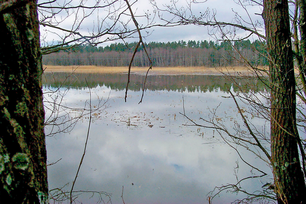 Mörtsjön i Frösunda är från mitten av 2010-talet ordentligt utdikad. Innan dess kunde sjön ha en rejäl vattenspegel vår och höst när nederbörden räckte till.