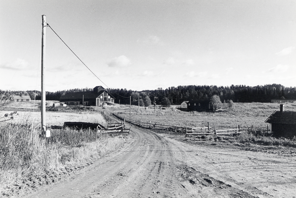 Vägen till Backa gårds loge och Långstugan i Kårsta.  I bildens mitt ligger gårdens loge.   I de två husen t h om logen  låg tidigare Backa såg, det vita huset var maskinhus.  Det lilla huset längst t h är ett pumphus.  Här stod tidigare också en vindmotor, som med vindens hjälp pumpade upp vattnet från  brunnen.  Huset längst t v om logen är Långstugan