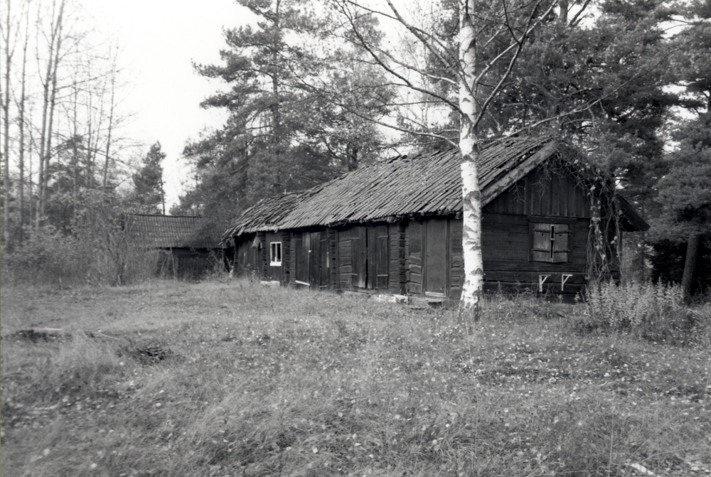 Ekonomibyggnader vid torpet Bällstalund i södra delen av Vallentuna strax före rivningen.  Torpet låg mellan Stockholmsvägen och Bällstalundsvägen på norra sidan om infarten till Tallåsvägen