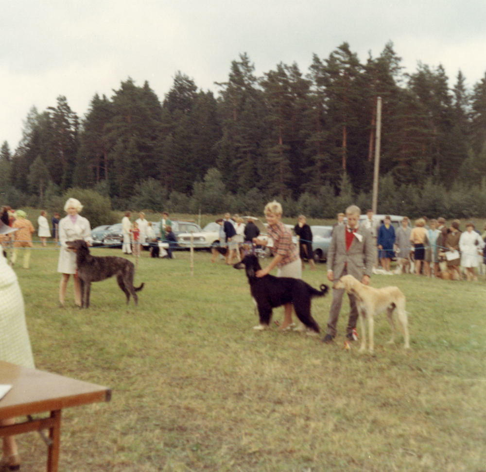 Hundutställning  vid  Freden  Domare: Carin Lindhé??