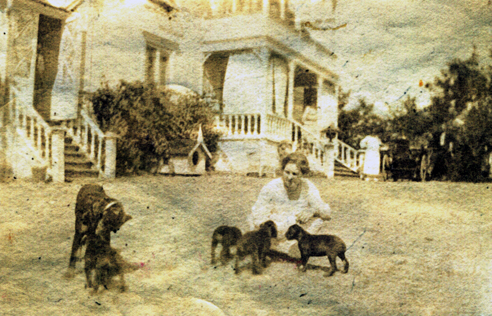 Ekskogens gård ägdes 1905 till 1930 av Selma Gustavsson. Eventuellt är det Selma som fotograferats utanför Ekskogens gård med en kull valpar. I bakgrunden av bilden, som är av mycket dålig kvalitet, ser man en man och en kvinna bredvid en bil. Selma hade en stor bekantskapskrets och bjud på stora fester på gården. Vid sådana tillfällen hände det att gästerna anlände till Ekskogen med tåg som bara transporterade festdeltagare. Selma var en mycket förmögen kvinna men allt detta ändrades efter ett besök på kasinot i Monte Carlo där hon spelade bort hela sin förmögenhet. Bilden kommer från en uppsats som Märta Hassler skrev 1923 då hon gick i sjätte klass. Märta bodde på Ekskogens gård på somrarna i början av 1920-talet.