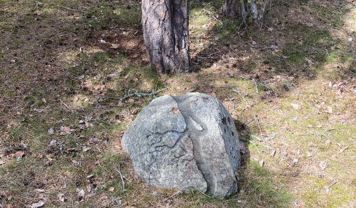 Visualisering av blästrade rötter på en stenbumbling