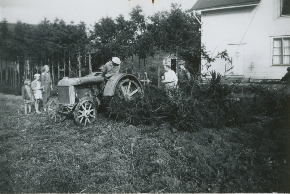 Plantering av granhäck utanför Vada affär ca 1950. Tre män vid traktorn och tre små flickor står framför och tittar på. Affären ägdes av Sally och John Johansson. John drev även taxirörelse och skolskjuts. Affären stängde 1961.