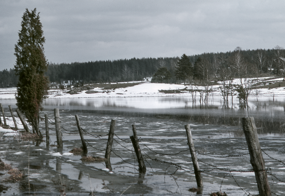 Vid sjöns utlopp svämmar ängarna över.